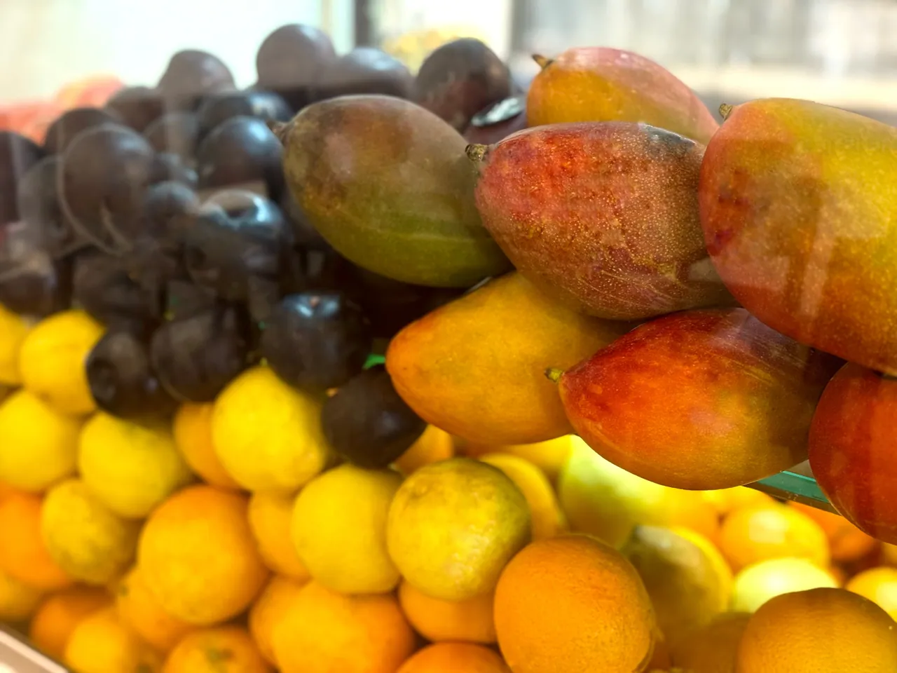 Fruta fresca em exposição: uvas, mangas e citrinos